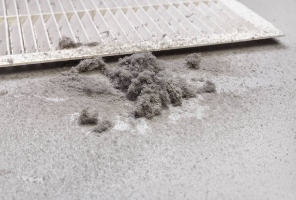 Best Air Duct Cleaning Near Me  in Homer, AK