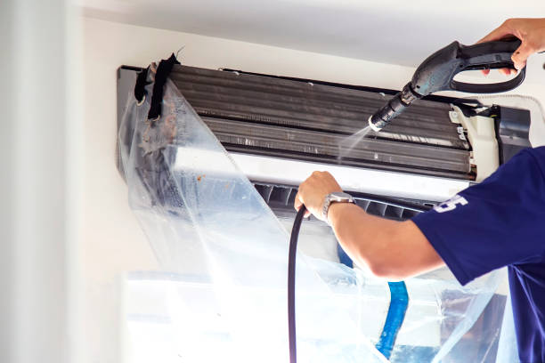 Best Home Air Vent Cleaning  in Homer, AK