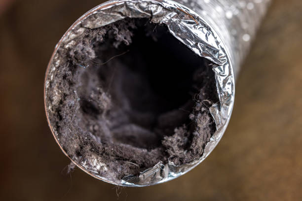 Best Ventilation Cleaning Services  in Homer, AK