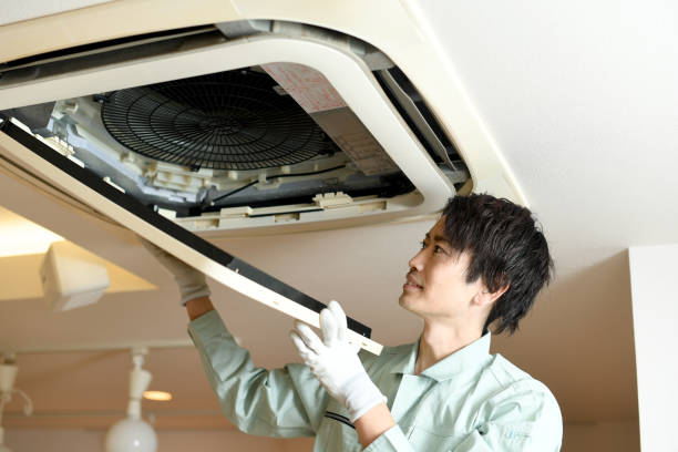 Best Residential Air Duct Cleaning  in Homer, AK