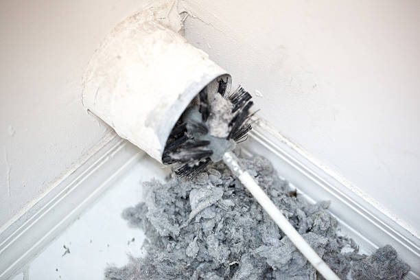 Best Air Duct Inspection  in Homer, AK