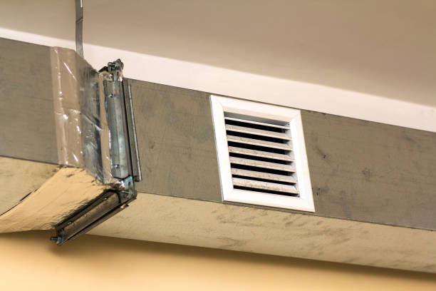 Best Air Vent Cleaning Services  in Homer, AK